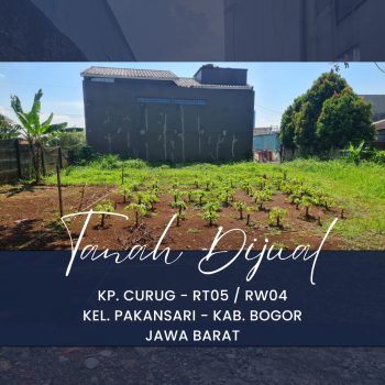 WhatsApp Image 2026-02-27 at 13.04.47